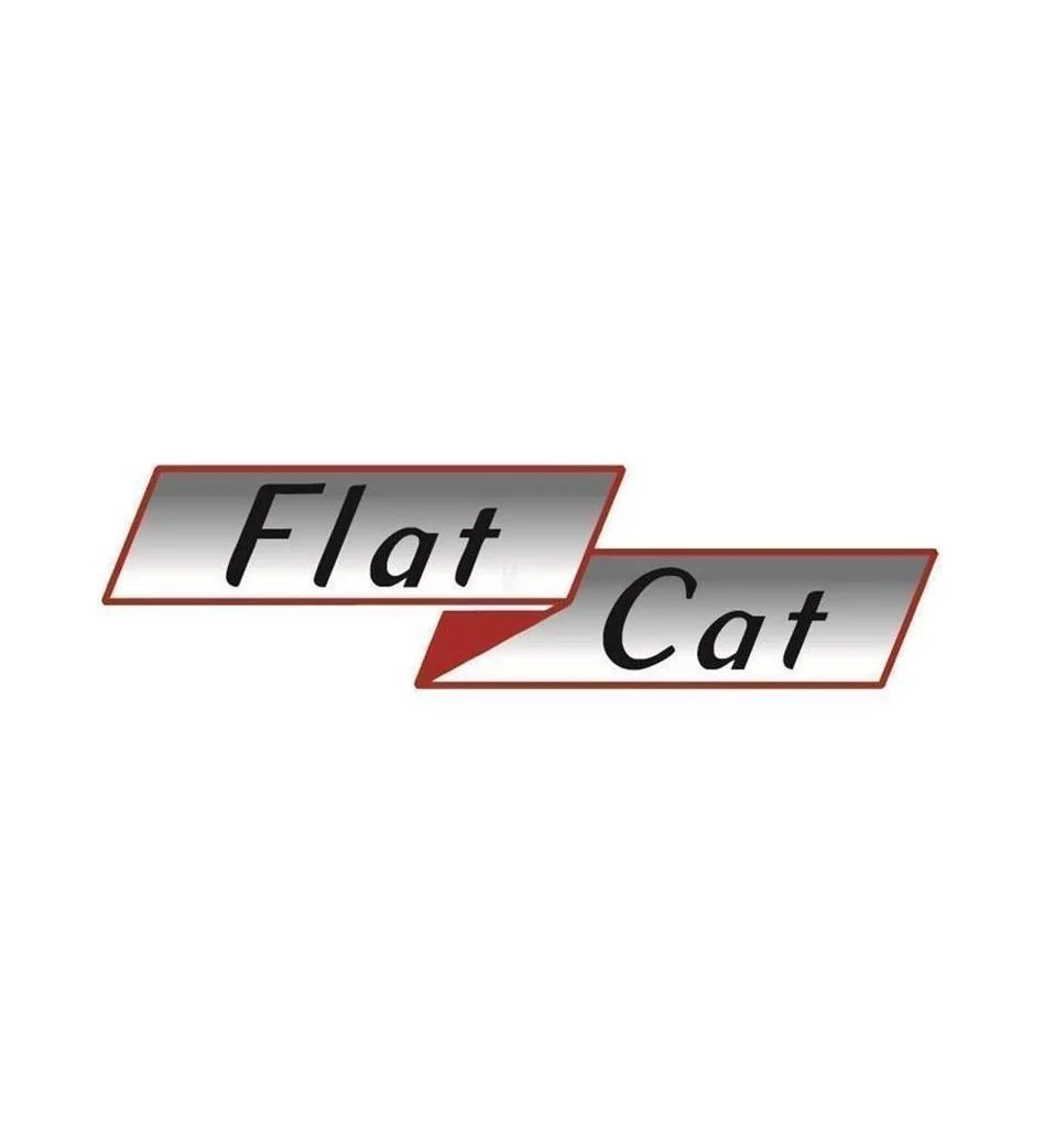 flat-cat