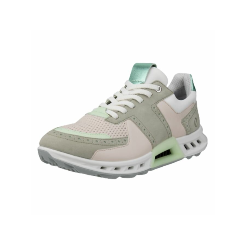 CHAUSSURES BIOM C4 GTX